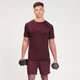 Miesten Fade Graphic Training Short Sleeve T-Shirt - Haalea oxblood